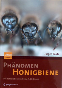 Buch_Juergen-Tautz_Phaenomen-Honigbiene